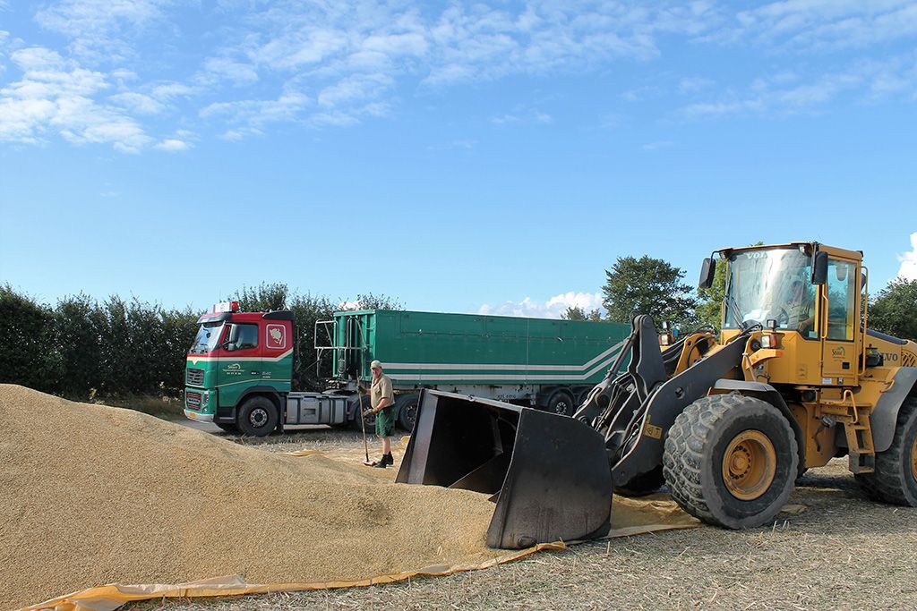 Snave Vognmandsforretning udfører transportopgaver for landbruget 