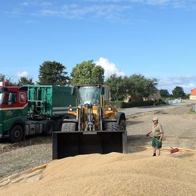 Snave Vognmandsforretning udfører transportopgaver for landbruget 