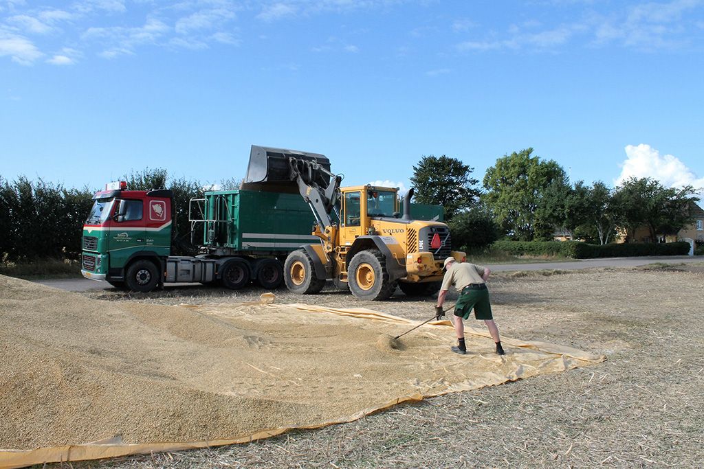 Snave Vognmandsforretning udfører transportopgaver for landbruget 